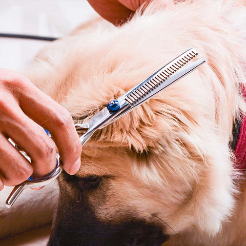 Tesoura com ponta arredondada