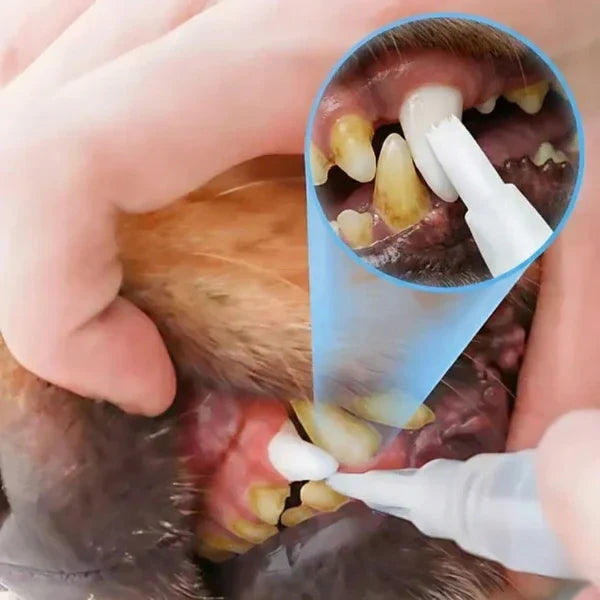 Caneta Dental para Pets – Limpa dentes amarelados, previne o tártaro e elimina o mau hálito - Imagem 2