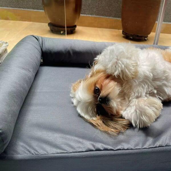 Cama Ergonômica para Cachorro e Gato com Encosto 80x60cm Lupzy - Imagem 5