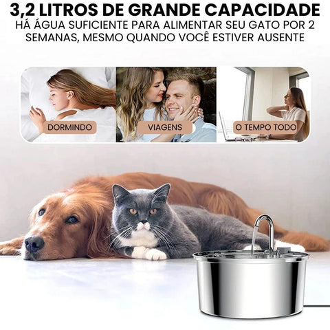 Bebedouro Inoxidável com Fonte para Gatos - Lupzy