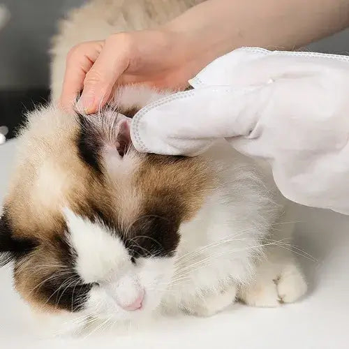 Luva Umedecida com Vitamina E – Banho a Seco e Pele Hidratada ForPatas™ - Imagem 7