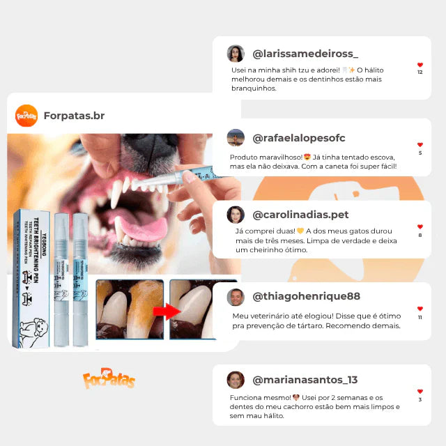 Caneta Dental para Pets – Limpa dentes amarelados, previne o tártaro e elimina o mau hálito - Imagem 3