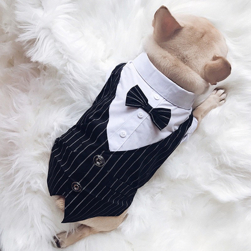 Roupa social pet Barkify