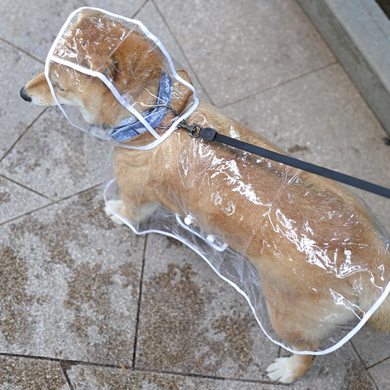 Capa de Chuva Pet - Barkify™ - Imagem 7