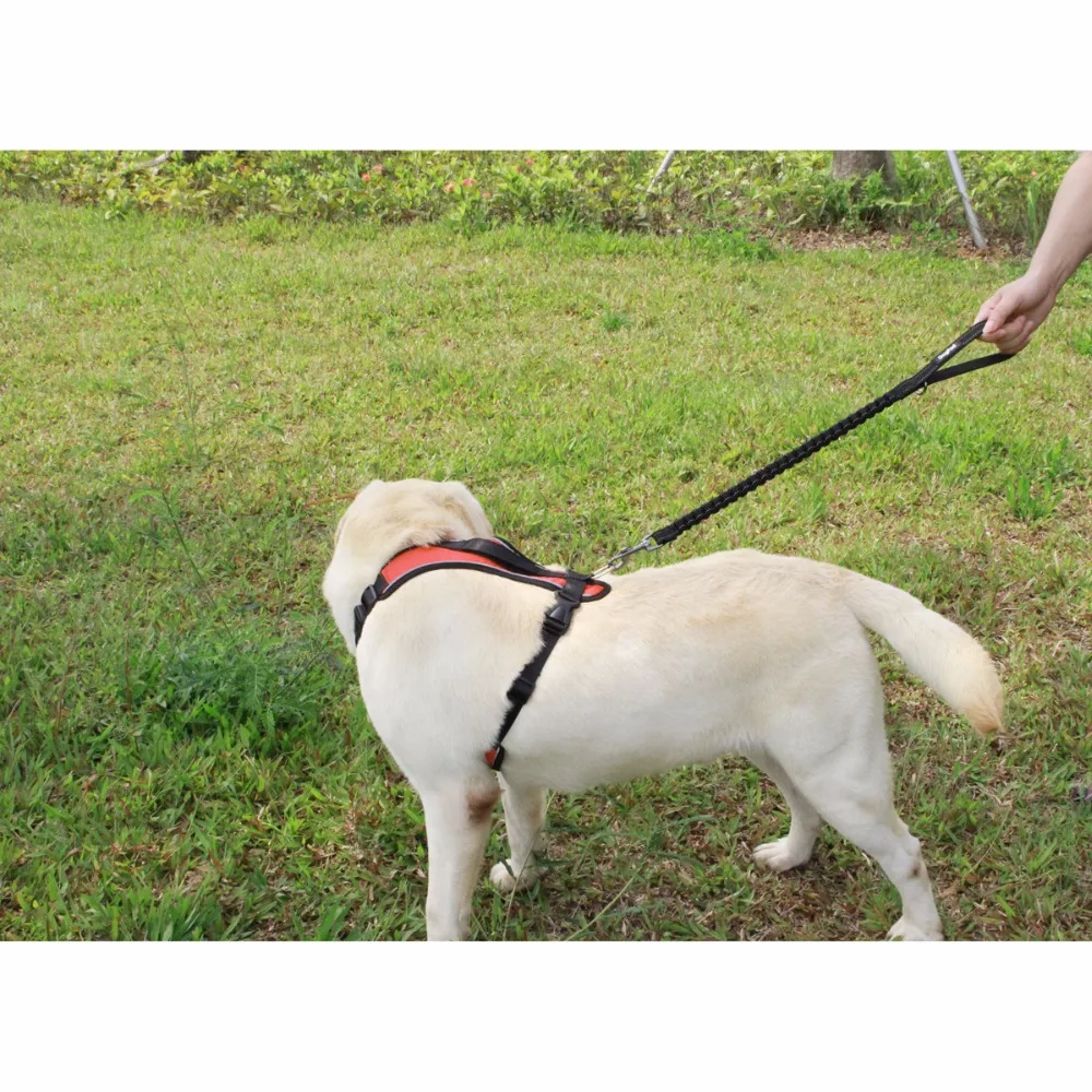 Guia Flexo Snouty™