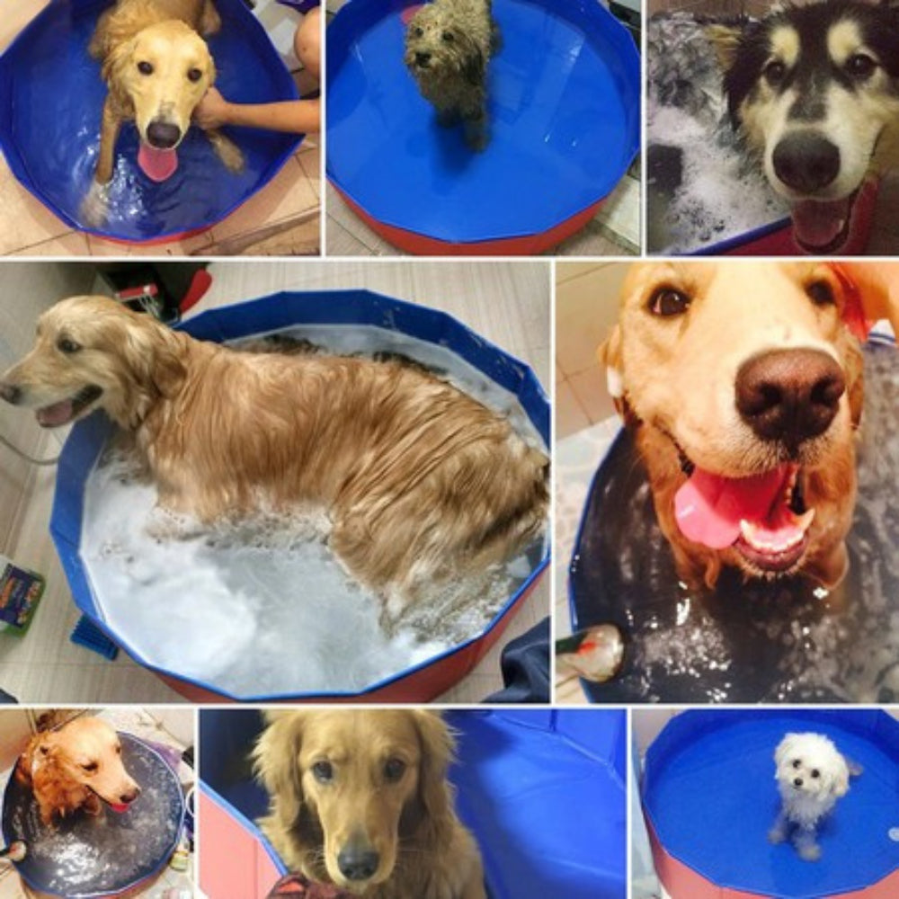 Piscina Dobrável para Cachorro e Crianças em PVC Antideslizante – Duty™ | Diversão e Refresco no Calor - Imagem 8