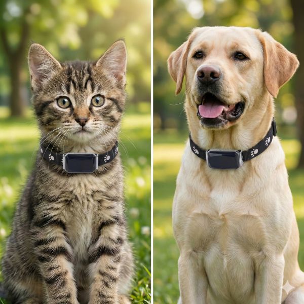 Coleira com GPS Rastreador em Tempo Real com Cerca Virtual para Cachorro e Gato Snouty™ - Imagem 3