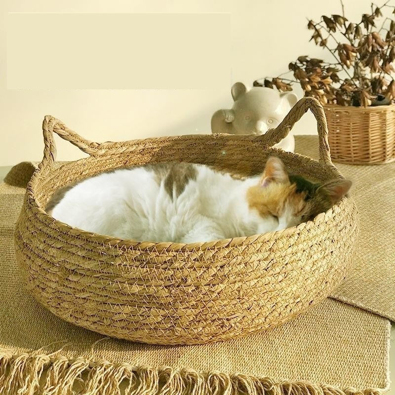 Cama Cesto para Gatos em Fibra Natural com Almofada – Snouty™ | Aconchego, Estilo e Conforto Natural - Imagem 2