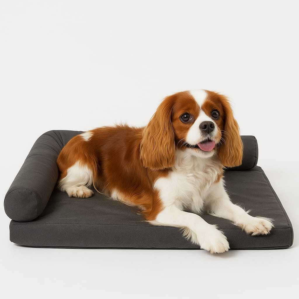 Cama Ergonômica para Cachorro e Gato com Encosto 80x60cm Lupzy - Imagem 6