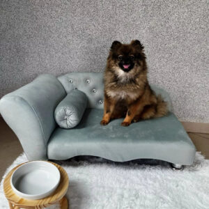 Cama Sofá Recamier em Suede para Cachorro e Gato com Strass Lupzy