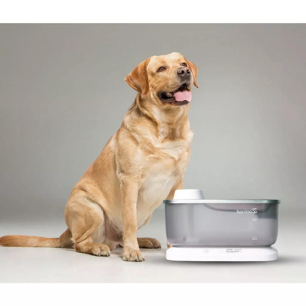 Bebedouro Automático 7L com Sensor Elevado Sem Fio para Cachorro e Gato Aço Inox Sorrino - Imagem 2