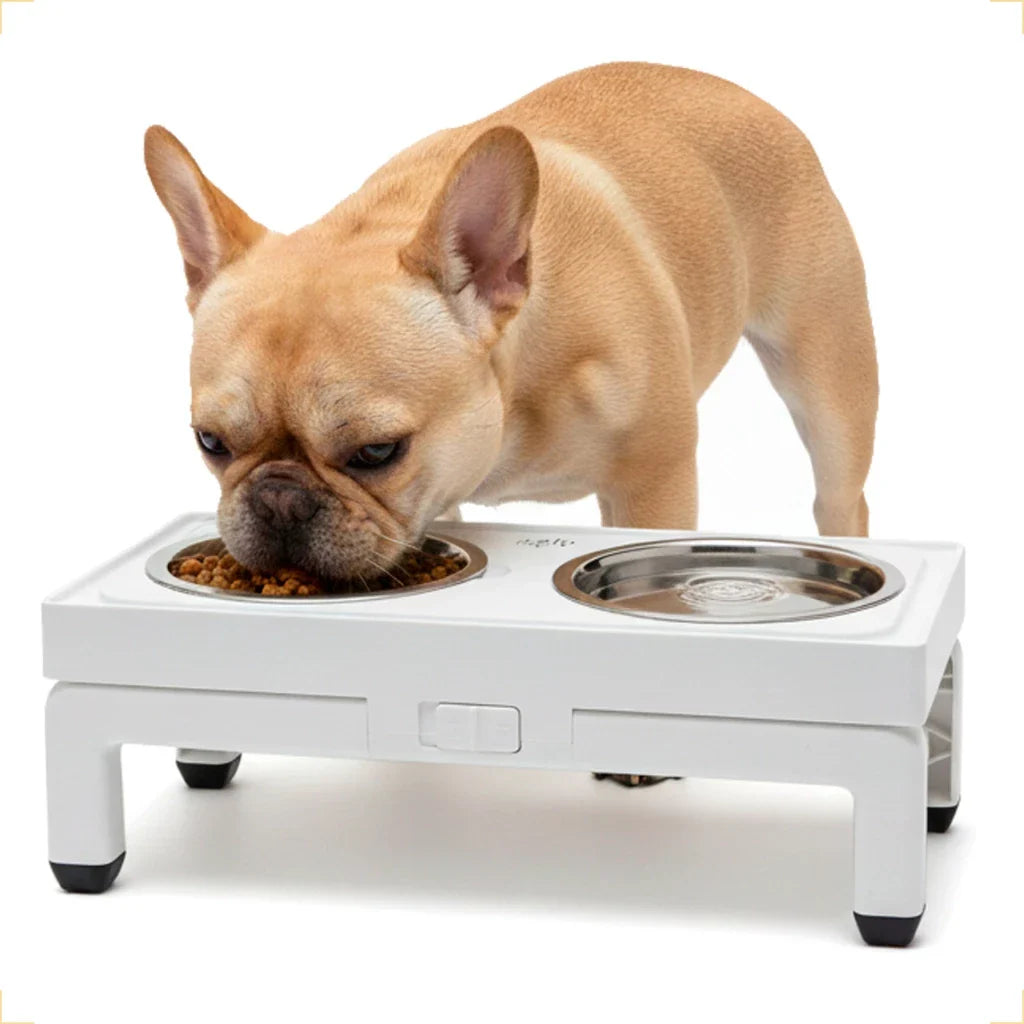 Comedouro Bebedouro Duplo Ajustável Inclinado 750ml Branco – Lupzy™ | Mais Conforto e Digestão Saudável - Imagem 3