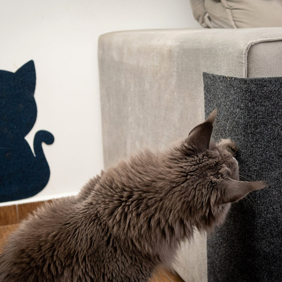 Carpete Protetor Multiuso para Gatos - Use em móveis, portas e paredes! - Imagem 4