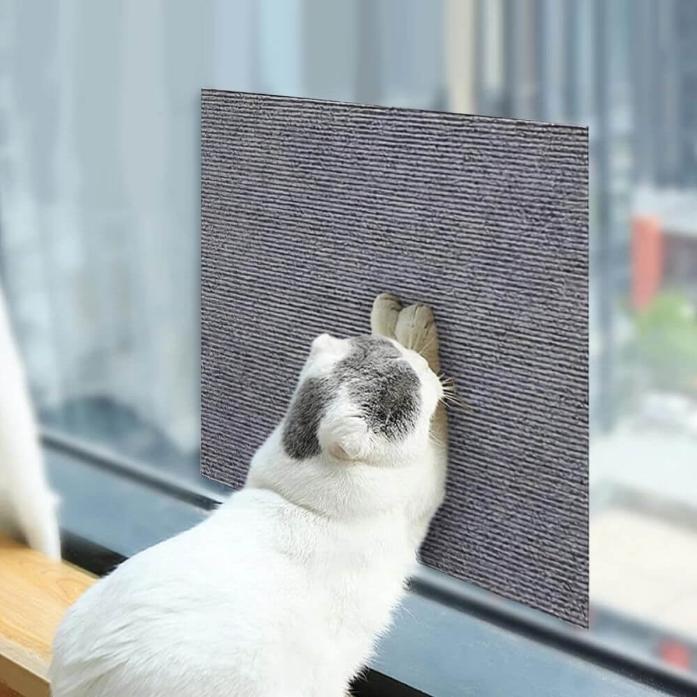 Carpete Protetor Multiuso para Gatos - Use em móveis, portas e paredes! - Imagem 3