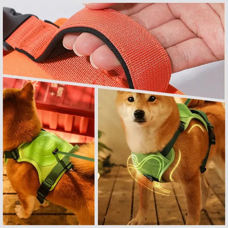 Coleira Retrátil com Guia para Cães de Médio e Grande Porte - Petzo™ - Imagem 7