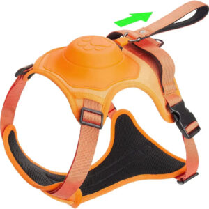 Coleira Retrátil com Guia para Cães de Médio e Grande Porte - Petzo™