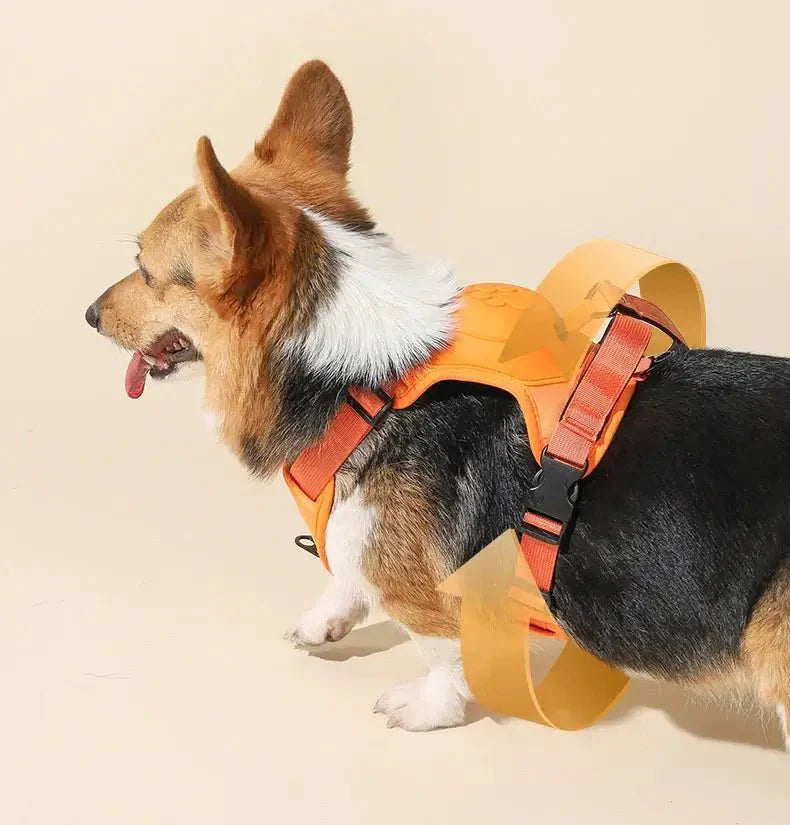 Coleira Retrátil com Guia para Cães de Médio e Grande Porte - Petzo™ - Imagem 3