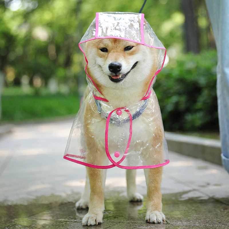 Capa de Chuva Pet - Barkify™ - Imagem 2