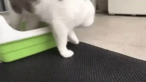 Tapete Higiênico para Gatos Snouty™ à prova d'água