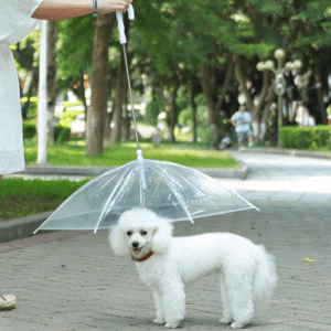 Guia com Guarda-chuva Tour - Barkify™