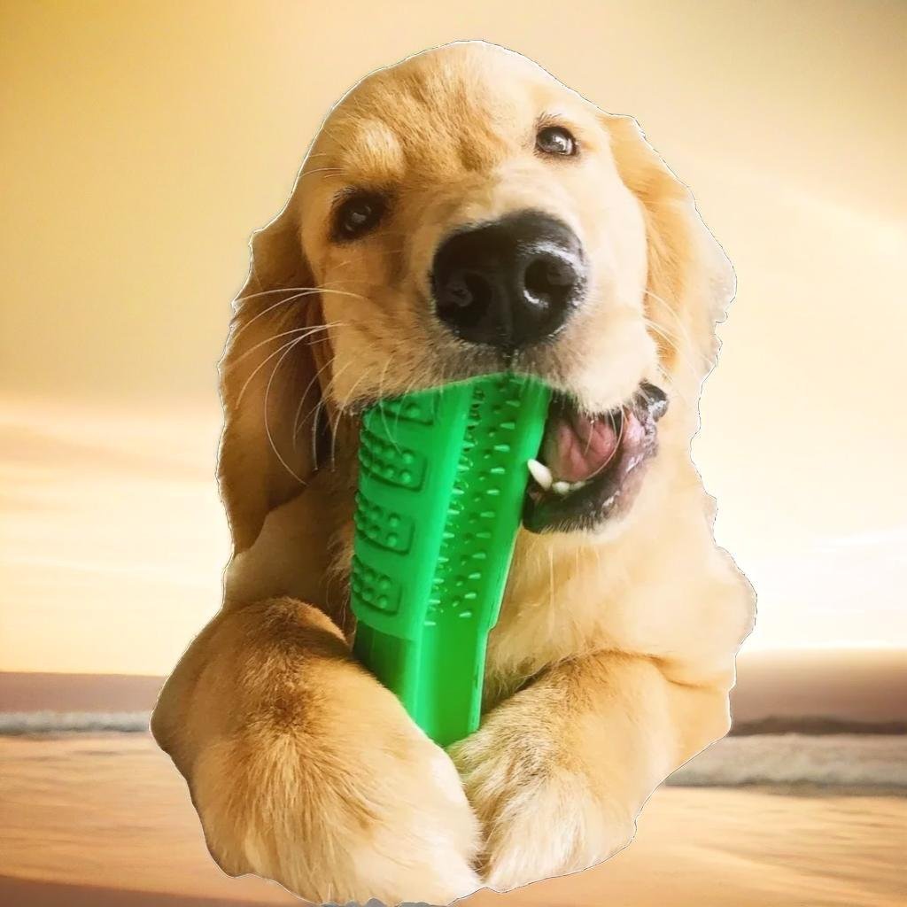 Mordedor para Cachorro - Muttly™ - Imagem 2