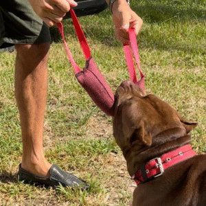 Mordedor Pillow Super Forte para Cães de Grande Porte – Dogvix™ | Treinamento e Diversão